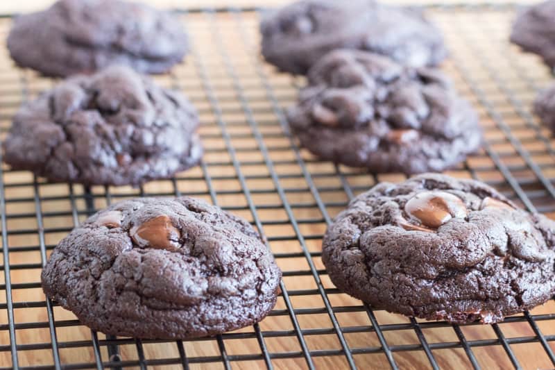 Double chocolate fudge cookies 