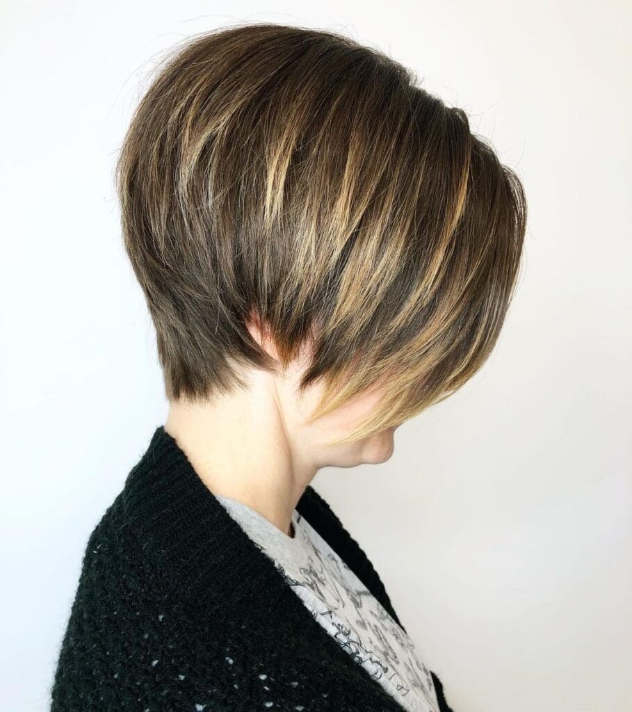 graduated pixie bob