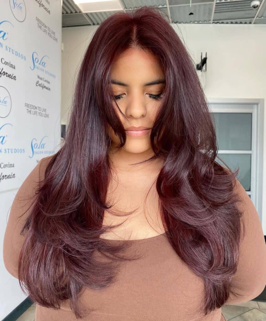 plum cherry cola brown hair 